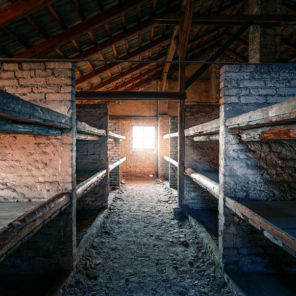 Auschwitz Tour