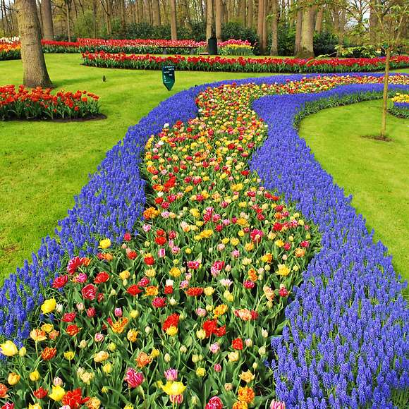 keukenhof gardens tour