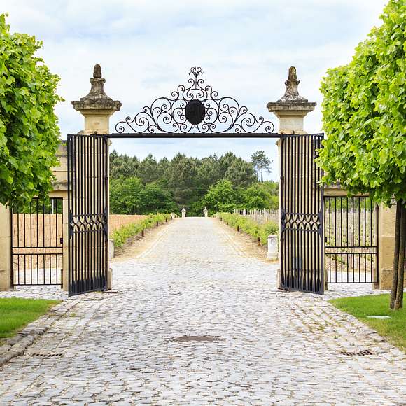 bordeaux winery tour