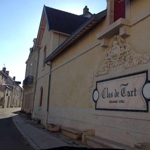 wine tour burgundy
