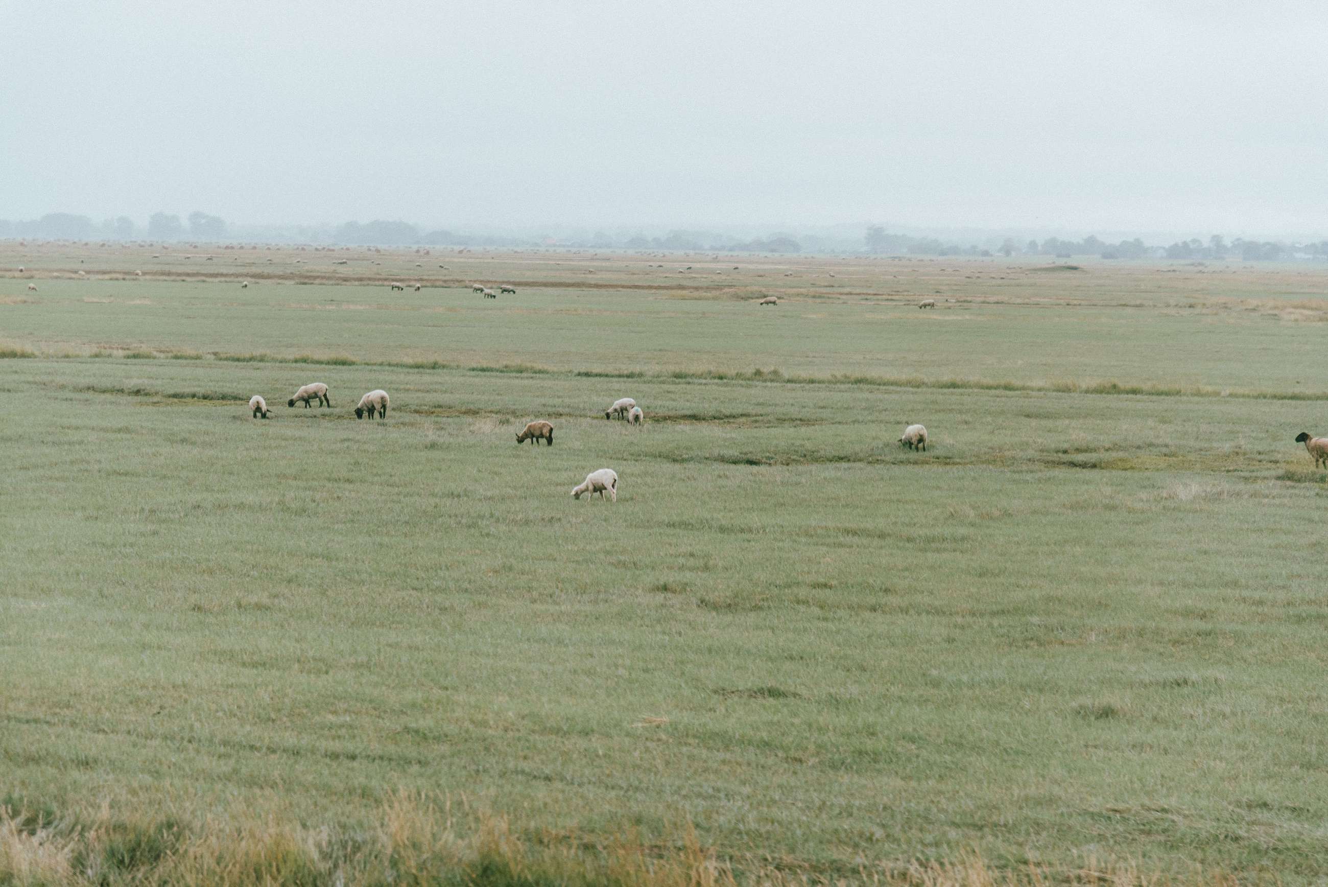 Normandy Private Tours from Bayeux and Mont Saint Michel tours