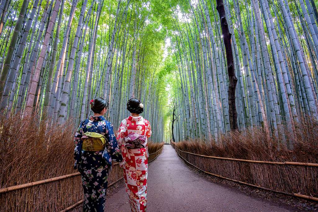 arashiyama bamboo grove