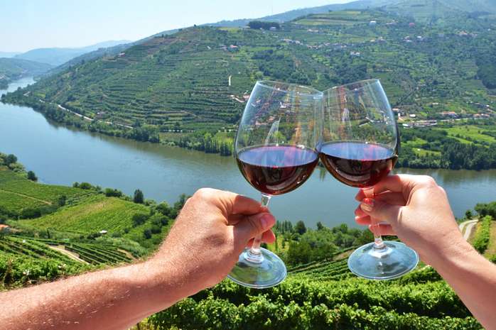 Douro Valley Full Day Wine Tour from Porto