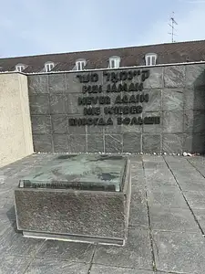 Photo Shared by Tracy with their review