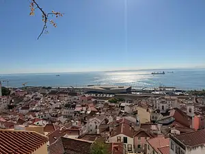 Photo Shared by Veronika with their review