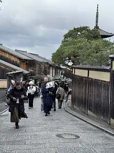 Photo Shared by Teresa with their review