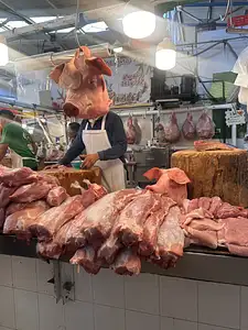 Photo Shared by Lisa with their review