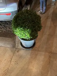 Photo Shared by Christina with their review