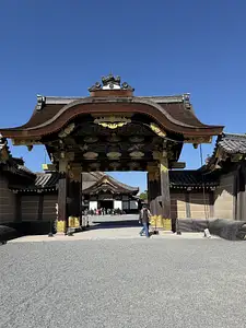 Photo Shared by Yogini with their review