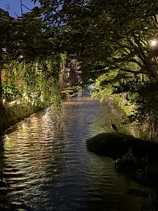 Photo Shared by Nick with their review