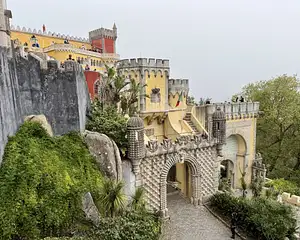 Photo Shared by Carolyn with their review