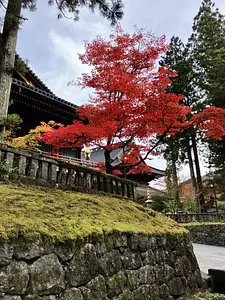 Photo Shared by Kathryn with their review