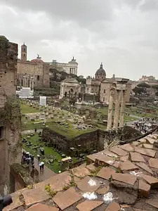 Photo Shared by Neil with their review