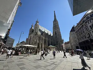 Photo Shared by Natalie with their review