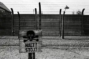 Photo Shared by Jose fernando with their review