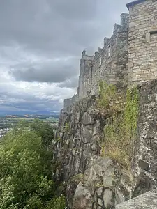 Photo Shared by Arman with their review