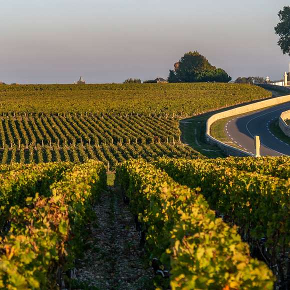 VIP Médoc Wine Tour | Luxury Wine Tasting Tour Bordeaux